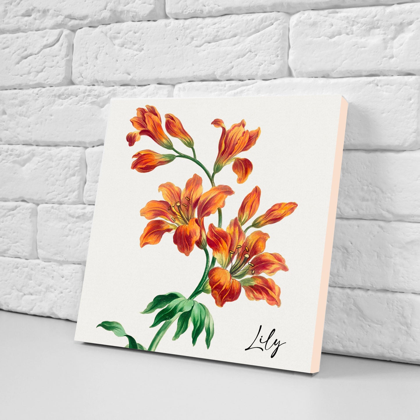 Vintage Botanical Print Ceramic Tiles - Set of 3 Ceramic Decor Tiles - Kitchen Backsplash Tiles, Bathroom Tiles, Botanical wall art