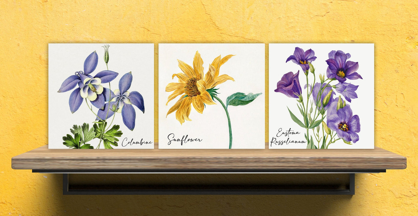 Vintage Botanical Print Ceramic Tiles - Set of 3 Ceramic Decor Tiles - Kitchen Backsplash Tiles, Bathroom Tiles, Botanical wall art