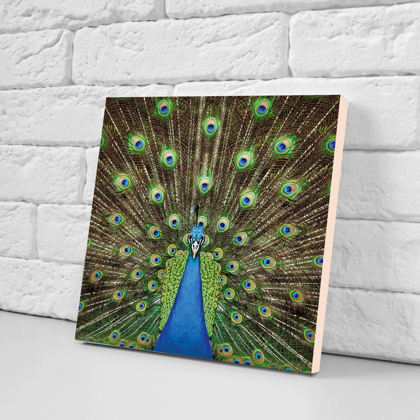Peacock Design Ceramic Tiles - Set of 2 Peacock design Wall Décor Tiles - Kitchen Backsplash Tiles, Table Decorative Tiles, Bathroom Tiles