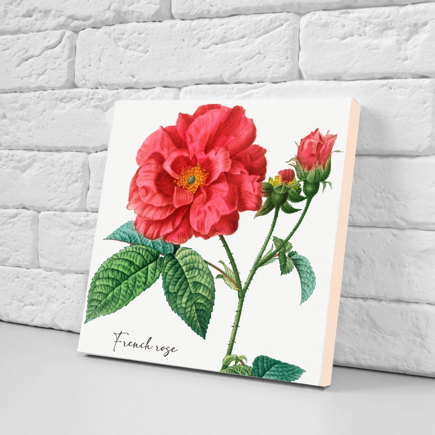 Vintage Botanical Print Ceramic Tiles - Set of 3 Ceramic Decor Tiles - Kitchen Backsplash Tiles, Bathroom Tiles, Botanical wall art