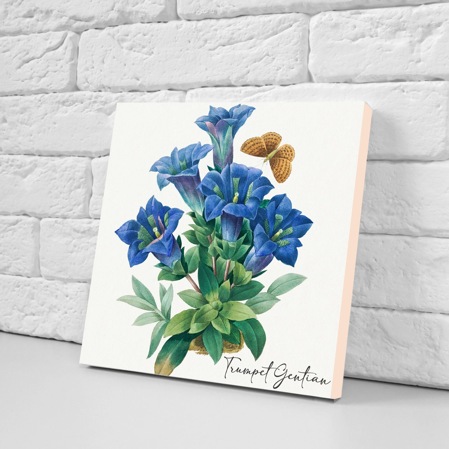 Vintage Botanical Print Ceramic Tiles - Set of 3 Ceramic Decor Tiles - Kitchen Backsplash Tiles, Bathroom Tiles, Botanical wall art