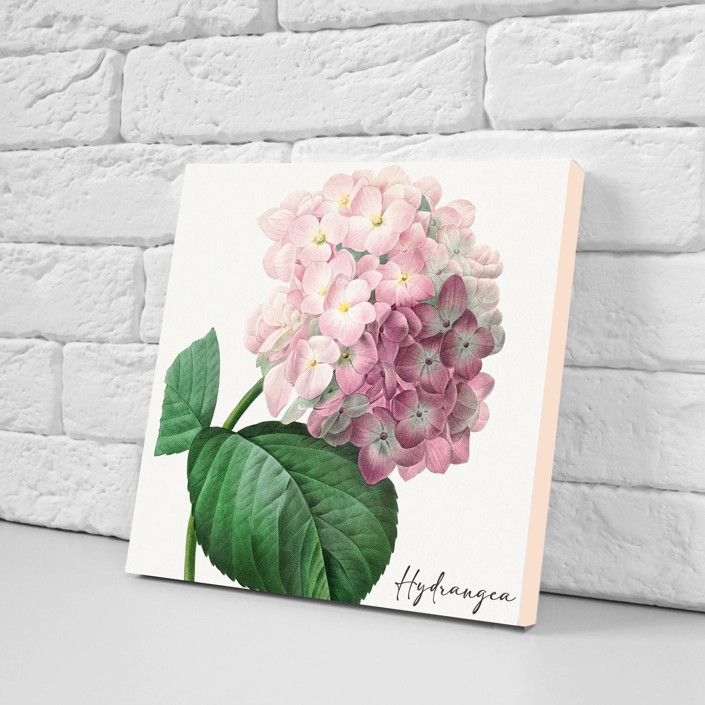 Vintage Botanical Print Ceramic Tiles - Set of 3 Ceramic Decor Tiles - Kitchen Backsplash Tiles, Bathroom Tiles, Botanical wall art