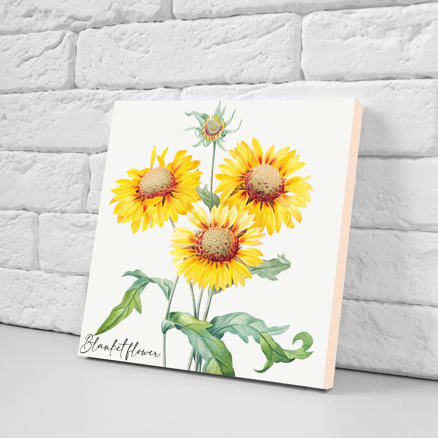 Vintage Botanical Print Ceramic Tiles - Set of 3 Ceramic Decor Tiles - Kitchen Backsplash Tiles, Bathroom Tiles, Botanical wall art