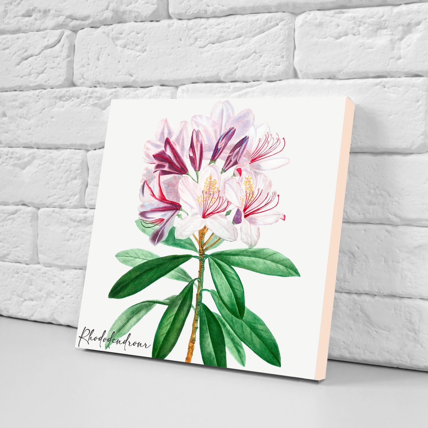 Vintage Botanical Print Ceramic Tiles - Set of 3 Ceramic Decor Tiles - Kitchen Backsplash Tiles, Bathroom Tiles, Botanical wall art