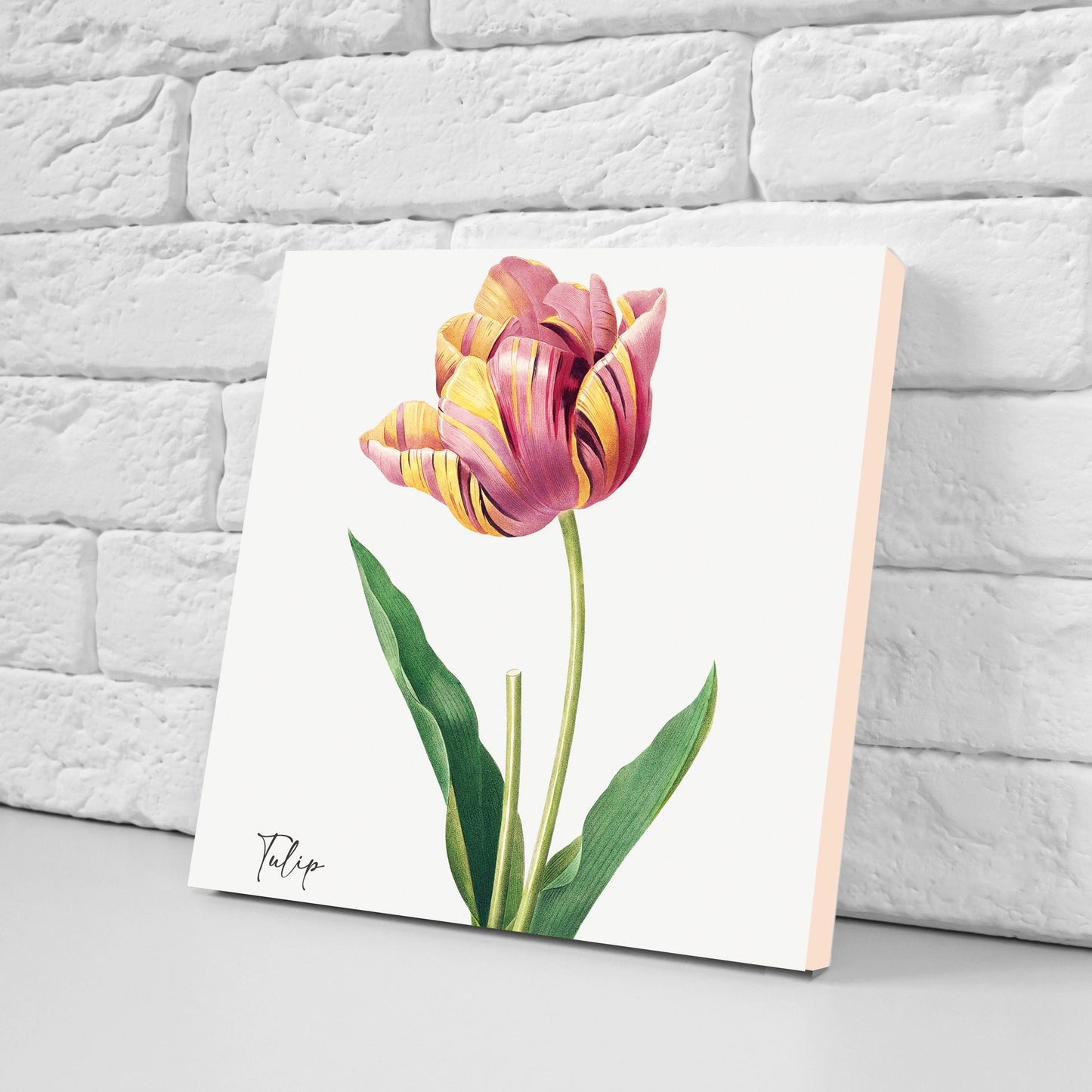 Vintage Botanical Print Ceramic Tiles - Set of 3 Ceramic Decor Tiles - Kitchen Backsplash Tiles, Bathroom Tiles, Botanical wall art