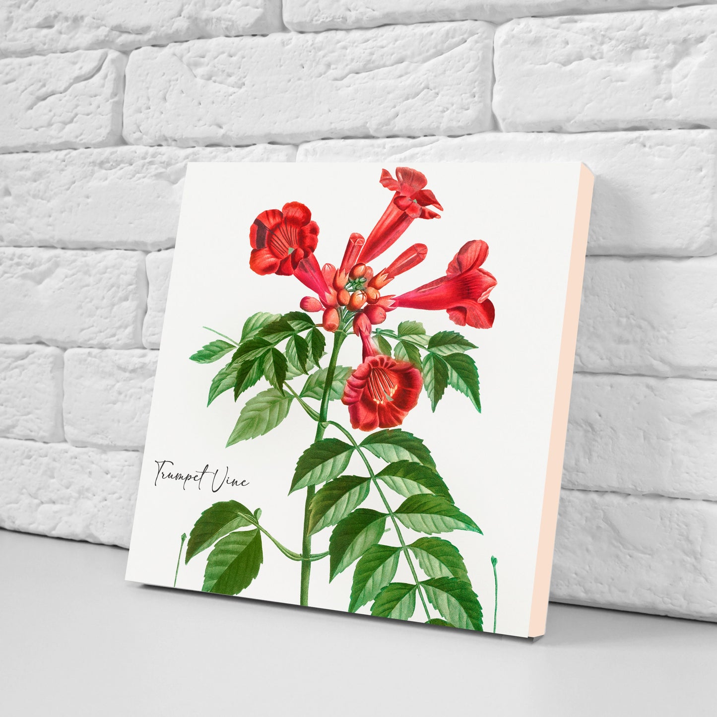 Vintage Botanical Print Ceramic Tiles - Set of 3 Ceramic Decor Tiles - Kitchen Backsplash Tiles, Bathroom Tiles, Botanical wall art