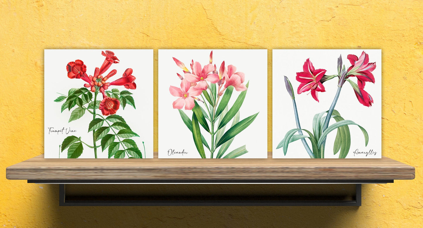 Vintage Botanical Print Ceramic Tiles - Set of 3 Ceramic Decor Tiles - Kitchen Backsplash Tiles, Bathroom Tiles, Botanical wall art