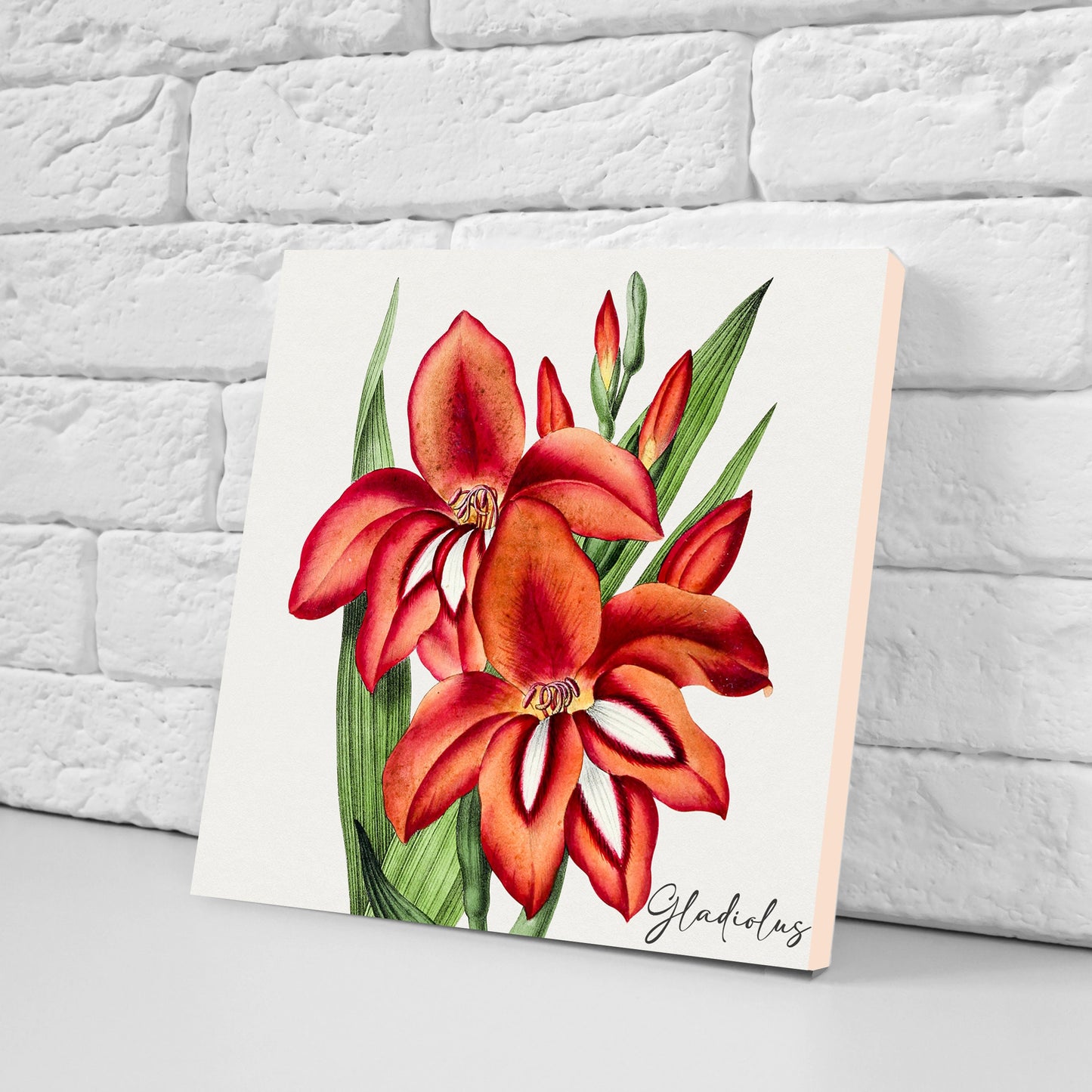 Vintage Botanical Print Ceramic Tiles - Set of 3 Ceramic Decor Tiles - Kitchen Backsplash Tiles, Bathroom Tiles, Botanical wall art