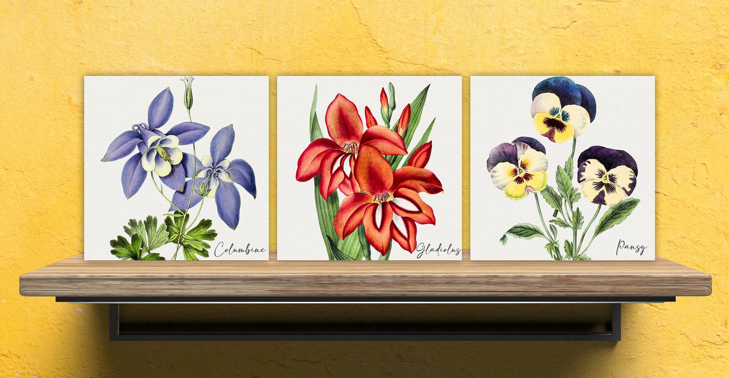 Vintage Botanical Print Ceramic Tiles - Set of 3 Ceramic Decor Tiles - Kitchen Backsplash Tiles, Bathroom Tiles, Botanical wall art