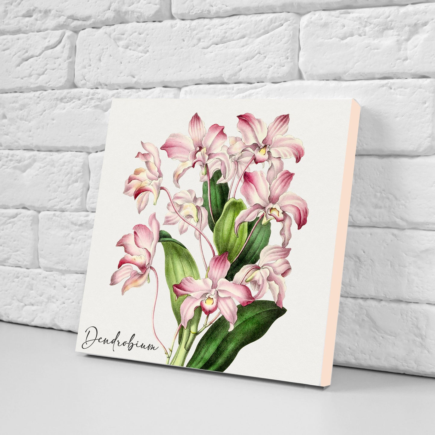 Vintage Botanical Print Ceramic Tiles - Set of 3 Ceramic Decor Tiles - Kitchen Backsplash Tiles, Bathroom Tiles, Botanical wall art