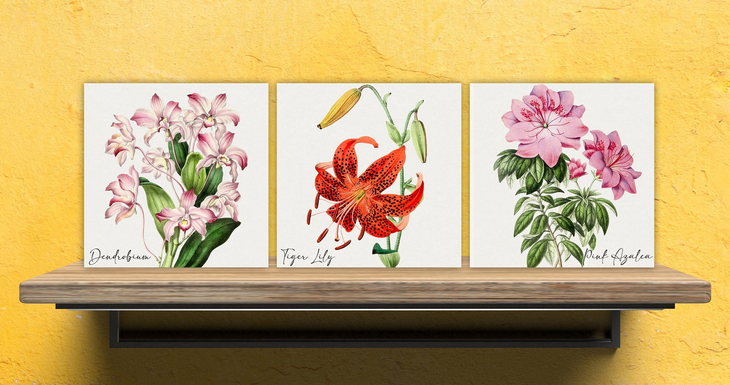 Vintage Botanical Print Ceramic Tiles - Set of 3 Ceramic Decor Tiles - Kitchen Backsplash Tiles, Bathroom Tiles, Botanical wall art