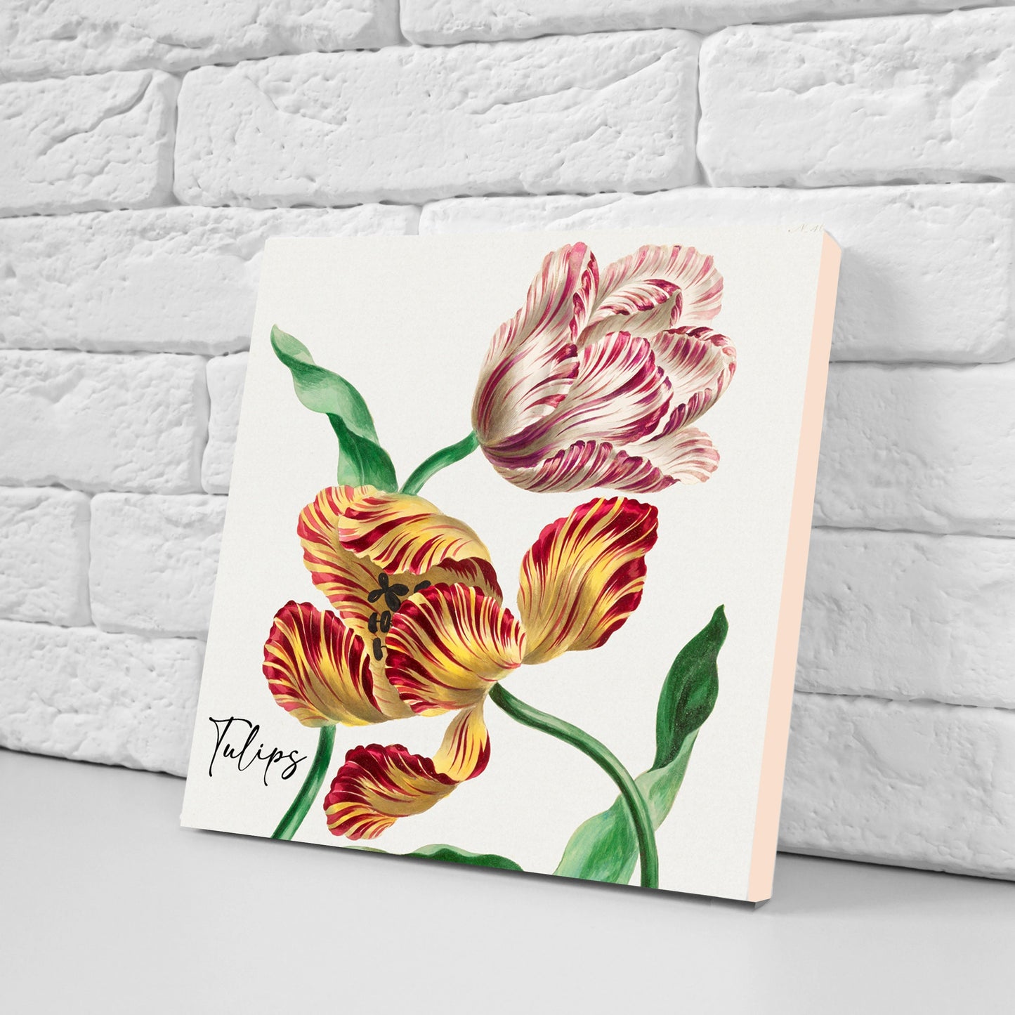 Vintage Botanical Print Ceramic Tiles - Set of 3 Ceramic Decor Tiles - Kitchen Backsplash Tiles, Bathroom Tiles, Botanical wall art