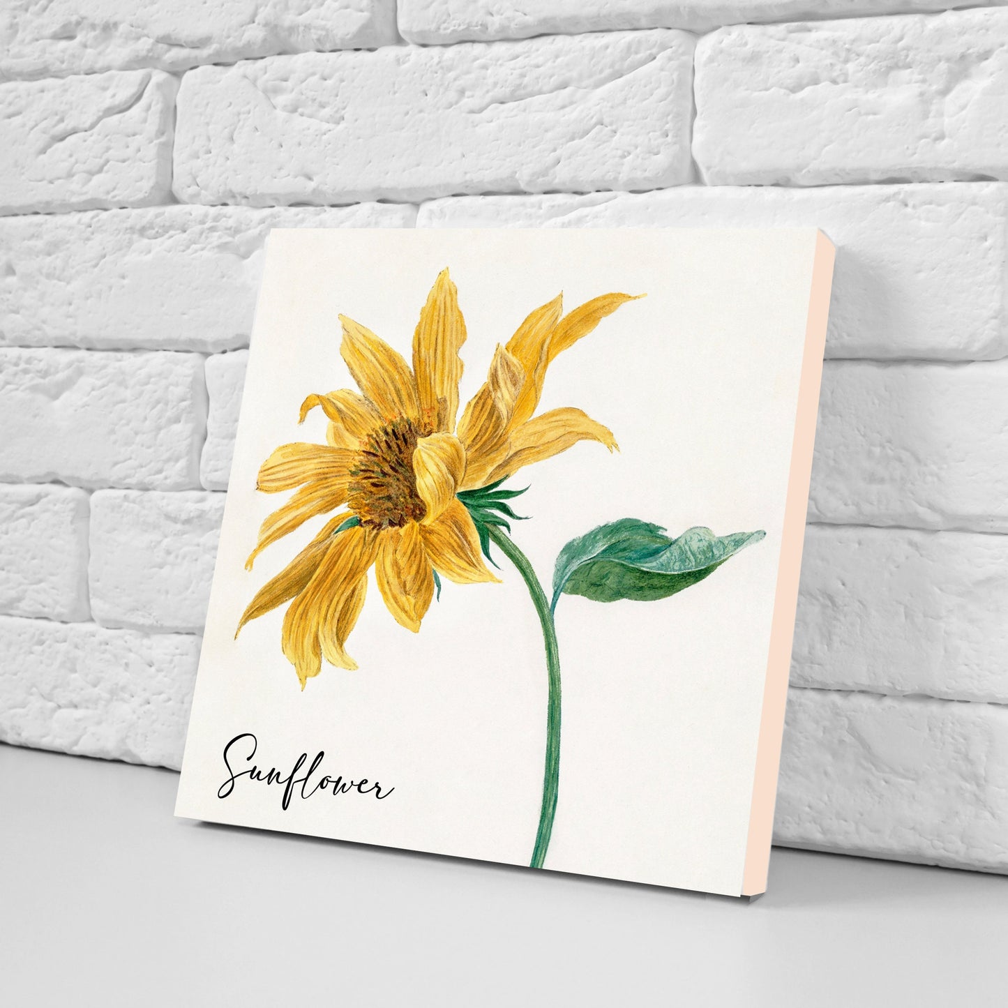 Vintage Botanical Print Ceramic Tiles - Set of 3 Ceramic Decor Tiles - Kitchen Backsplash Tiles, Bathroom Tiles, Botanical wall art