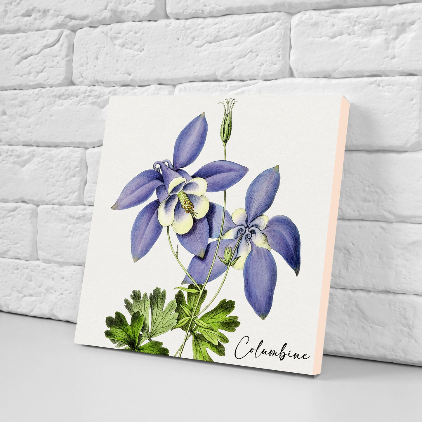 Vintage Botanical Print Ceramic Tiles - Set of 3 Ceramic Decor Tiles - Kitchen Backsplash Tiles, Bathroom Tiles, Botanical wall art