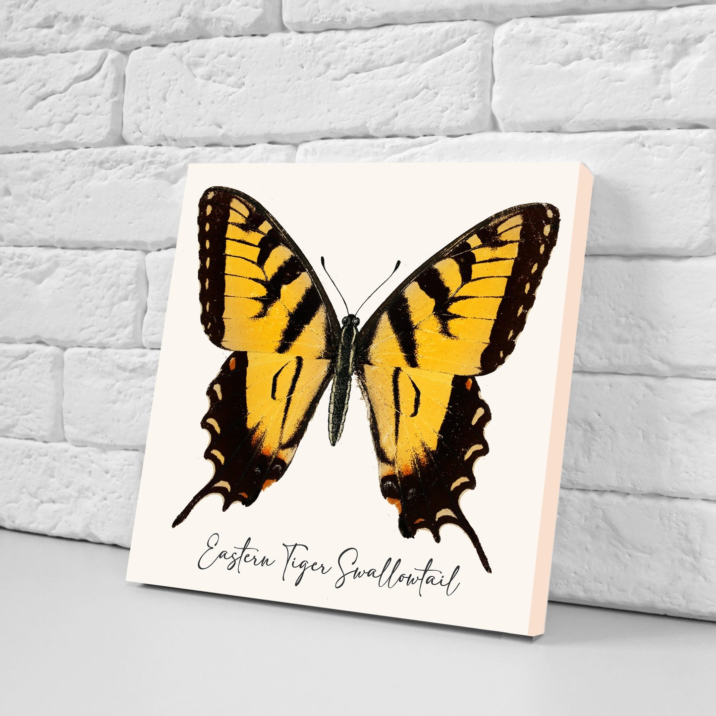 Butterfly vintage illustration Set of 3 Ceramic tiles,Ceramic Decor Tiles,Kitchen Backsplash , Bathroom Tiles, Vintage illustration wall art