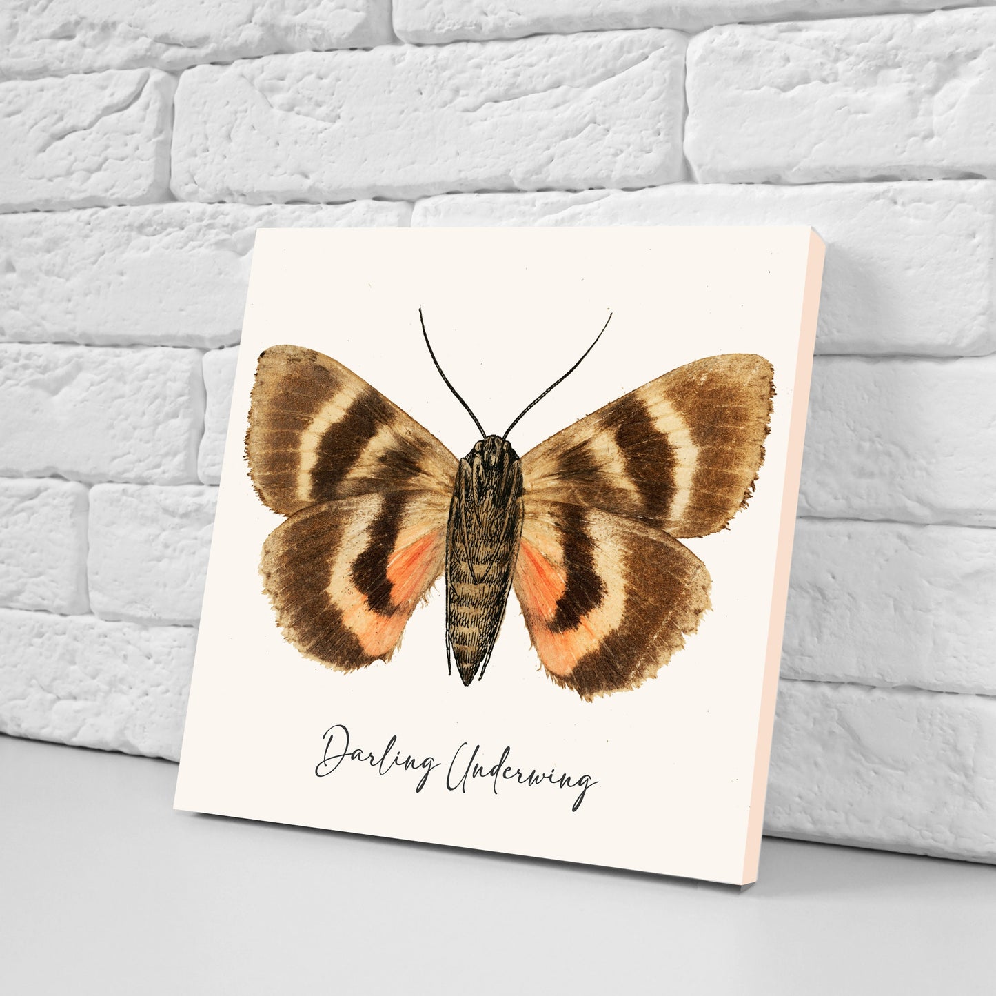 Butterfly vintage illustration Set of 3 Ceramic tiles,Ceramic Decor Tiles,Kitchen Backsplash , Bathroom Tiles, Vintage illustration wall art