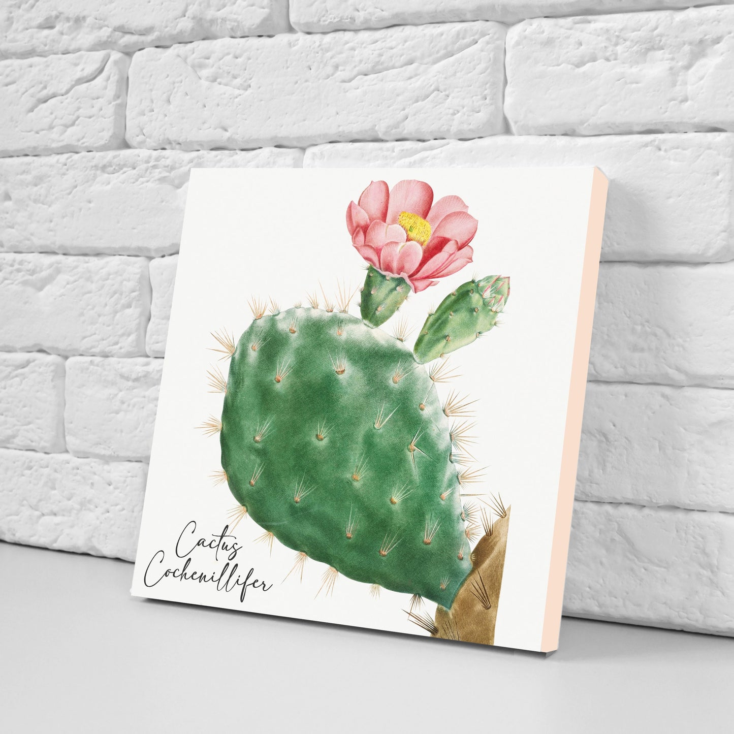 Vintage Botanical Print Ceramic Tiles - Set of 3 Ceramic Decor Tiles - Kitchen Backsplash Tiles, Bathroom Tiles, Botanical wall art