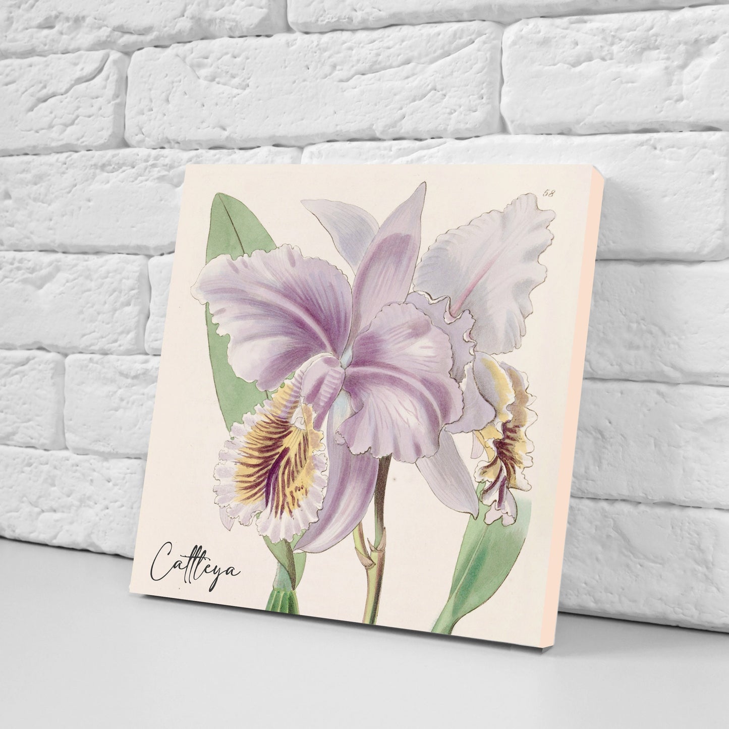Vintage Botanical Print Ceramic Tiles - Set of 3 Ceramic Decor Tiles - Kitchen Backsplash Tiles, Bathroom Tiles, Botanical wall art