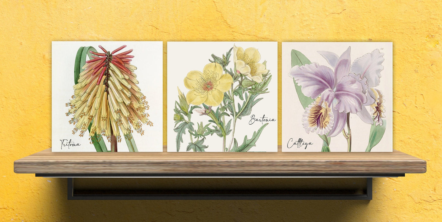 Vintage Botanical Print Ceramic Tiles - Set of 3 Ceramic Decor Tiles - Kitchen Backsplash Tiles, Bathroom Tiles, Botanical wall art