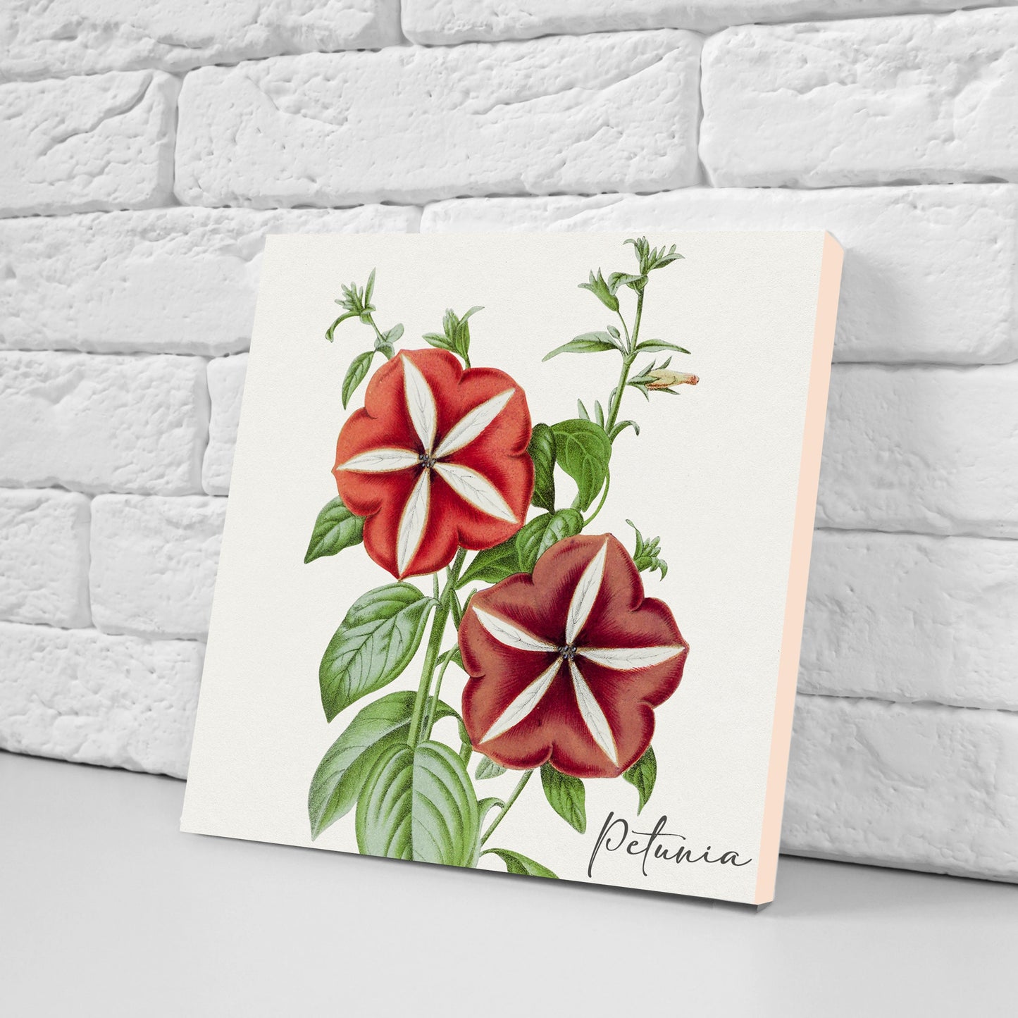 Vintage Botanical Print Ceramic Tiles - Set of 3 Ceramic Decor Tiles - Kitchen Backsplash Tiles, Bathroom Tiles, Botanical wall art