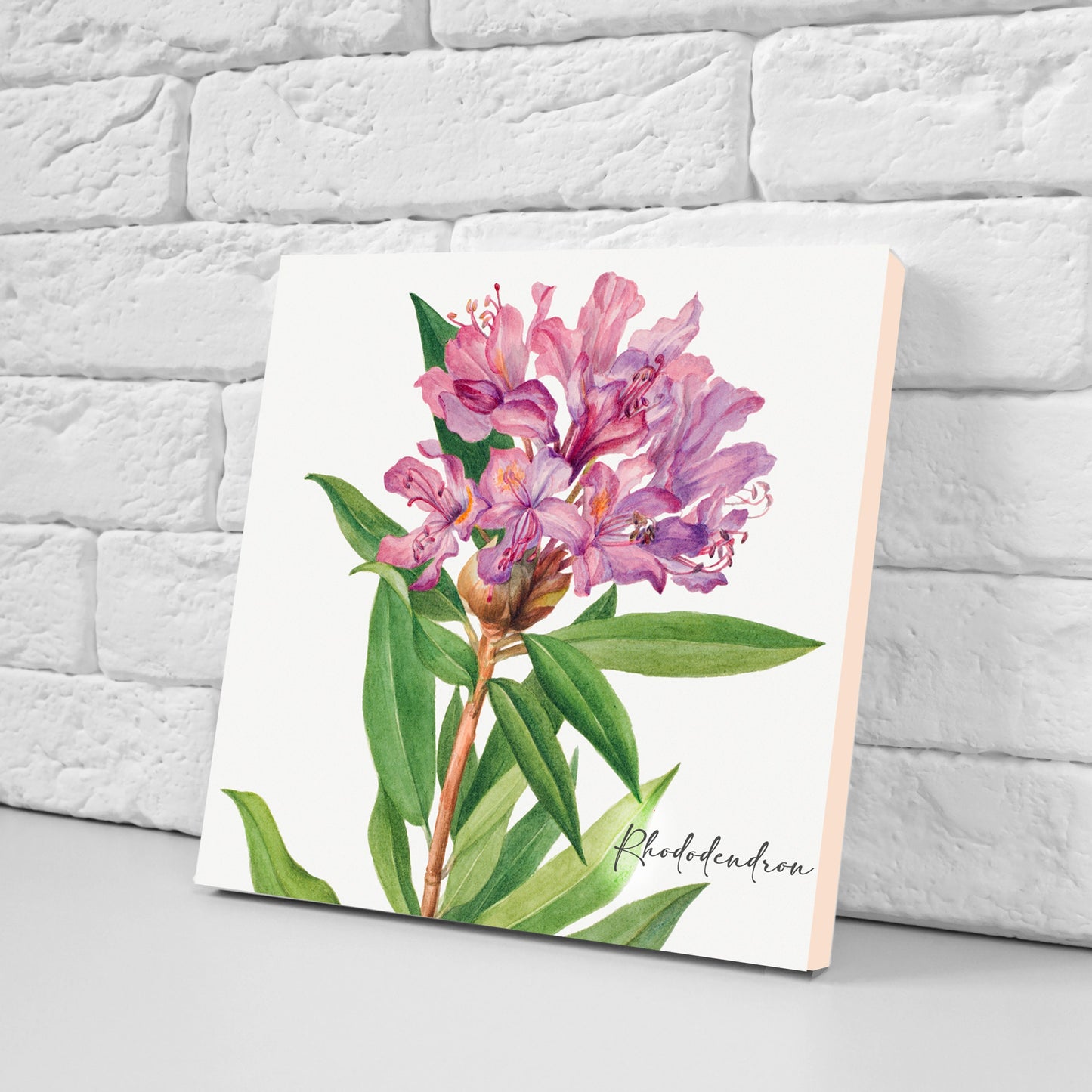 Vintage Botanical Print Ceramic Tiles - Set of 3 Ceramic Decor Tiles - Kitchen Backsplash Tiles, Bathroom Tiles, Botanical wall art