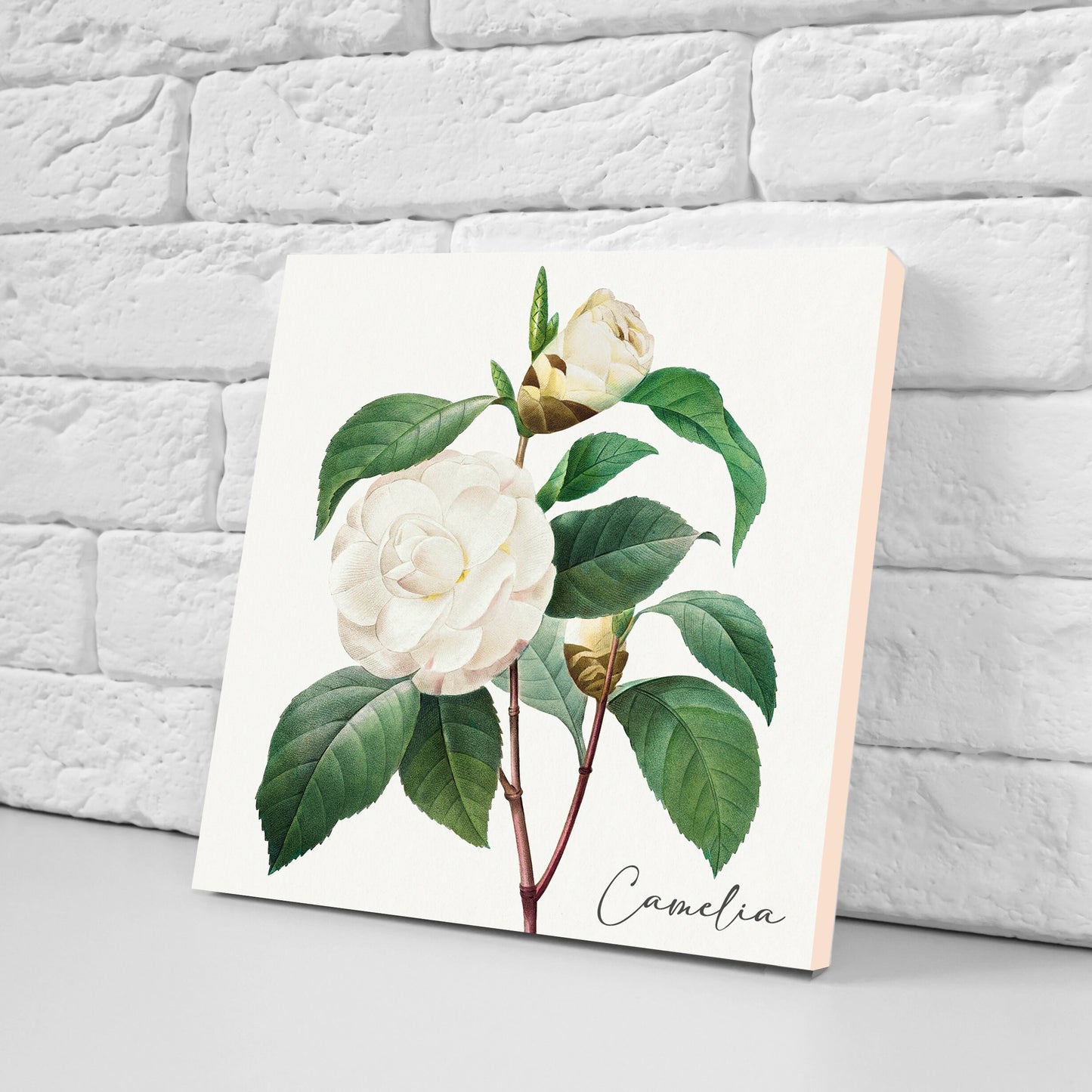 Vintage Botanical Print Ceramic Tiles - Set of 3 Ceramic Decor Tiles - Kitchen Backsplash Tiles, Bathroom Tiles, Botanical wall art
