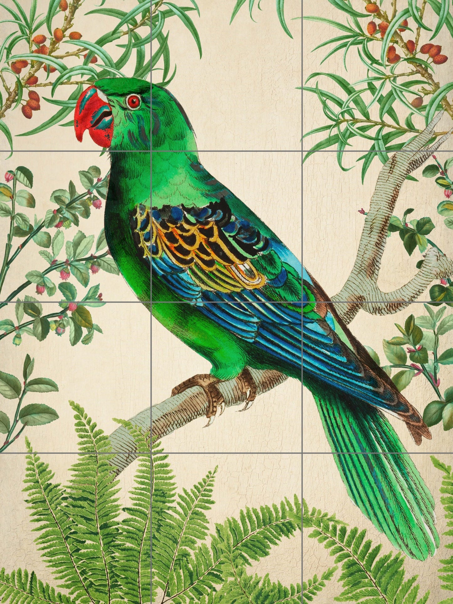 Tile Mural/Mosaic Ceramic Panel of Parrot Vintage Illustration -Parrot wall art -Tropical Bird Illustration -Tropical decoration- Bird mural