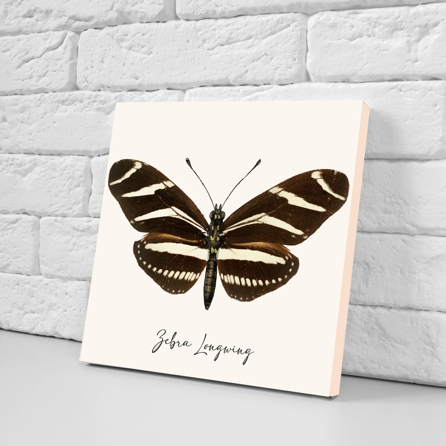 Butterfly vintage illustration Set of 3 Ceramic tiles,Ceramic Decor Tiles,Kitchen Backsplash , Bathroom Tiles, Vintage illustration wall art