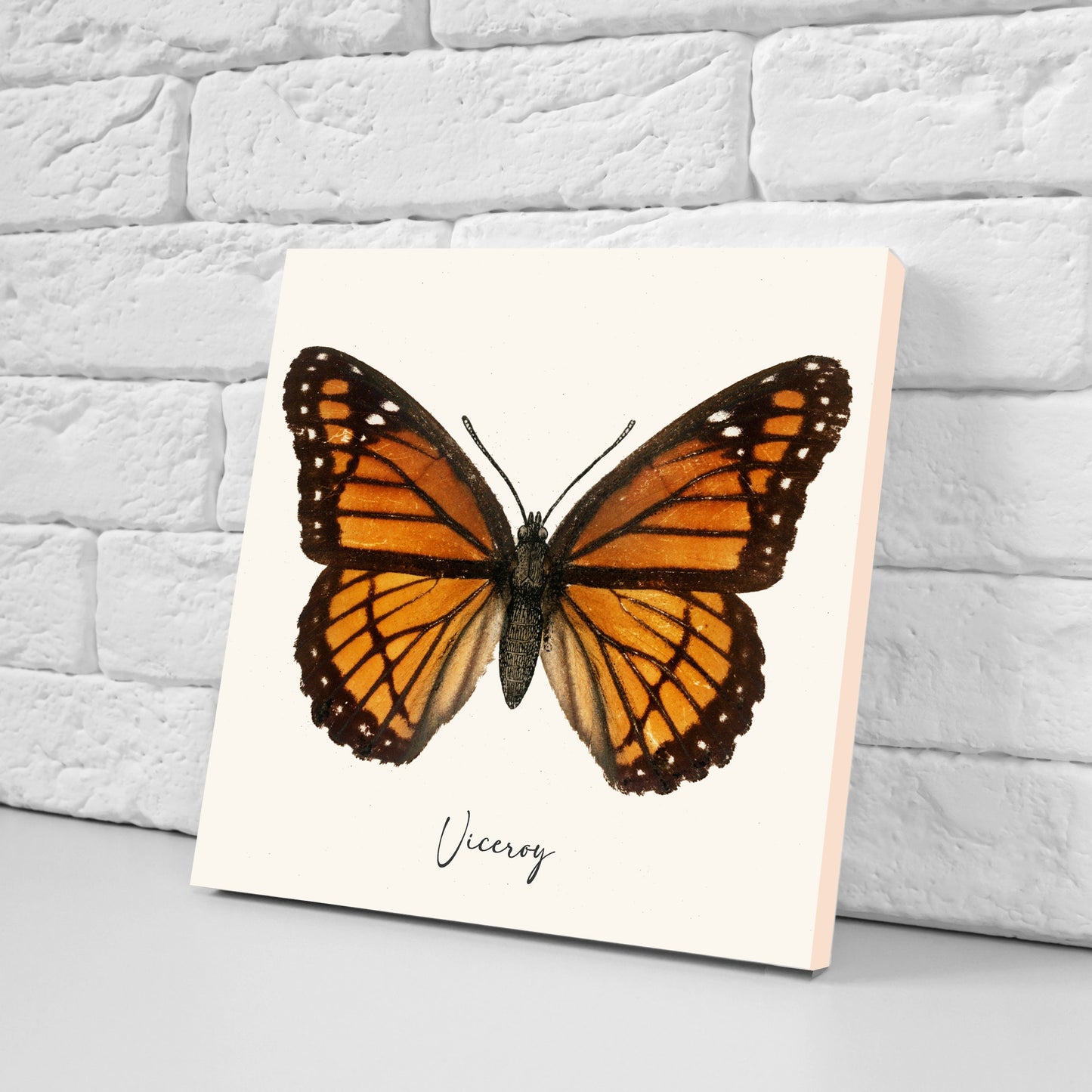 Butterfly vintage illustration Set of 3 Ceramic tiles,Ceramic Decor Tiles,Kitchen Backsplash , Bathroom Tiles, Vintage illustration wall art