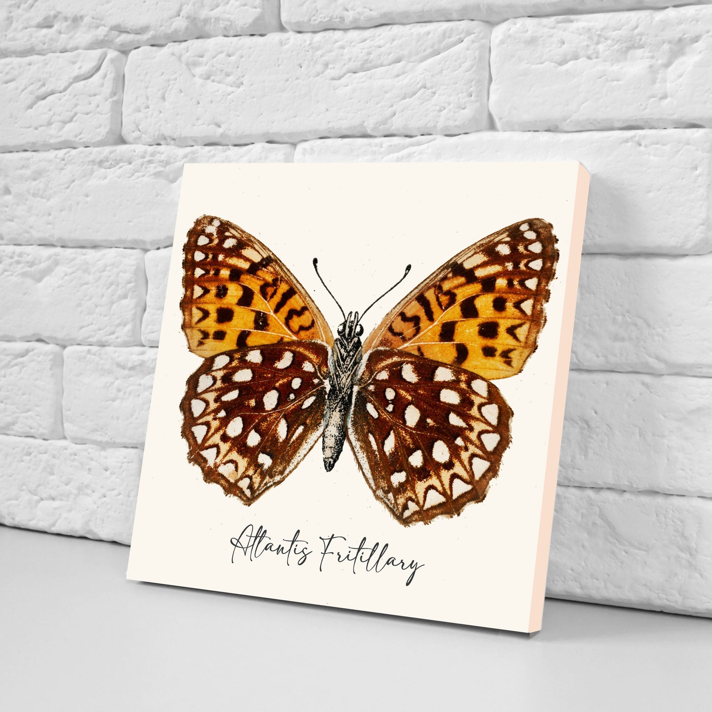 Butterfly vintage illustration Set of 3 Ceramic tiles,Ceramic Decor Tiles,Kitchen Backsplash , Bathroom Tiles, Vintage illustration wall art