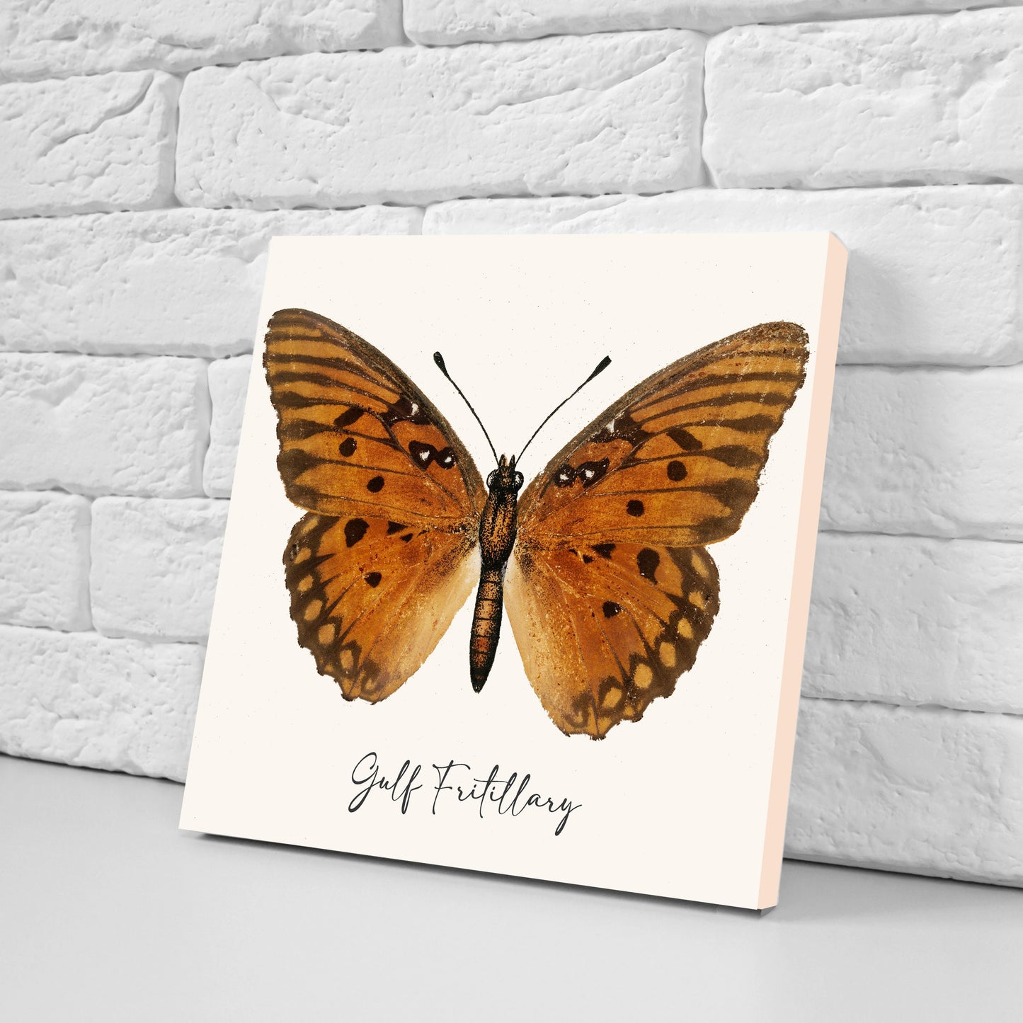 Butterfly vintage illustration Set of 3 Ceramic tiles,Ceramic Decor Tiles,Kitchen Backsplash , Bathroom Tiles, Vintage illustration wall art