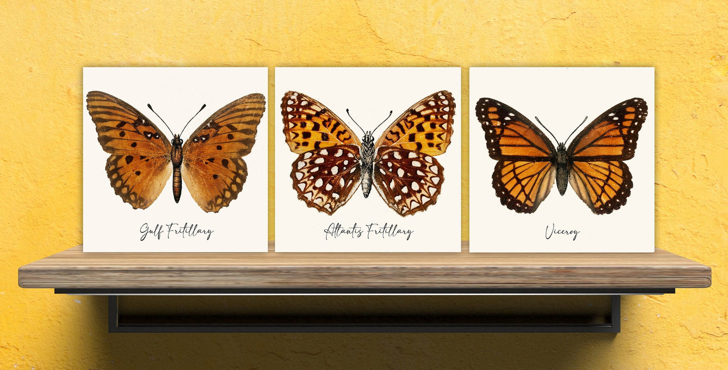 Butterfly vintage illustration Set of 3 Ceramic tiles,Ceramic Decor Tiles,Kitchen Backsplash , Bathroom Tiles, Vintage illustration wall art