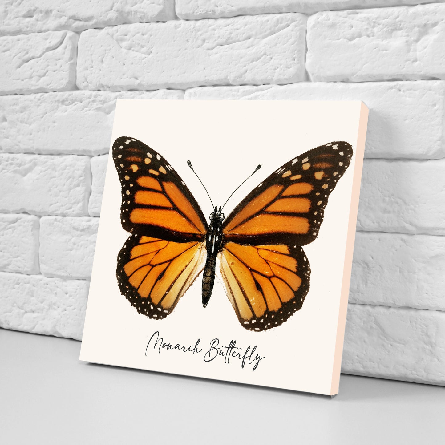 Butterfly vintage illustration Set of 3 Ceramic tiles,Ceramic Decor Tiles,Kitchen Backsplash , Bathroom Tiles, Vintage illustration wall art