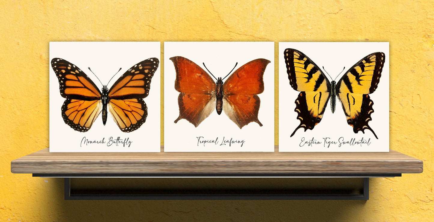 Butterfly vintage illustration Set of 3 Ceramic tiles,Ceramic Decor Tiles,Kitchen Backsplash , Bathroom Tiles, Vintage illustration wall art
