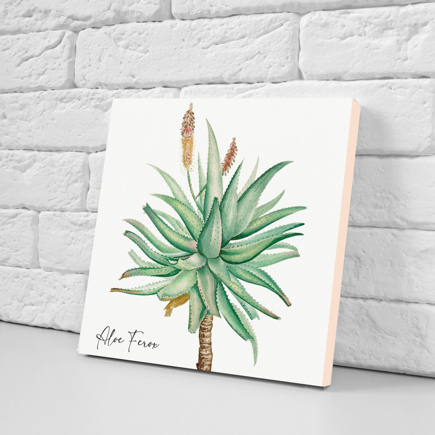 Vintage Botanical Print Ceramic Tiles - Set of 3 Ceramic Decor Tiles - Kitchen Backsplash Tiles, Bathroom Tiles, Botanical wall art