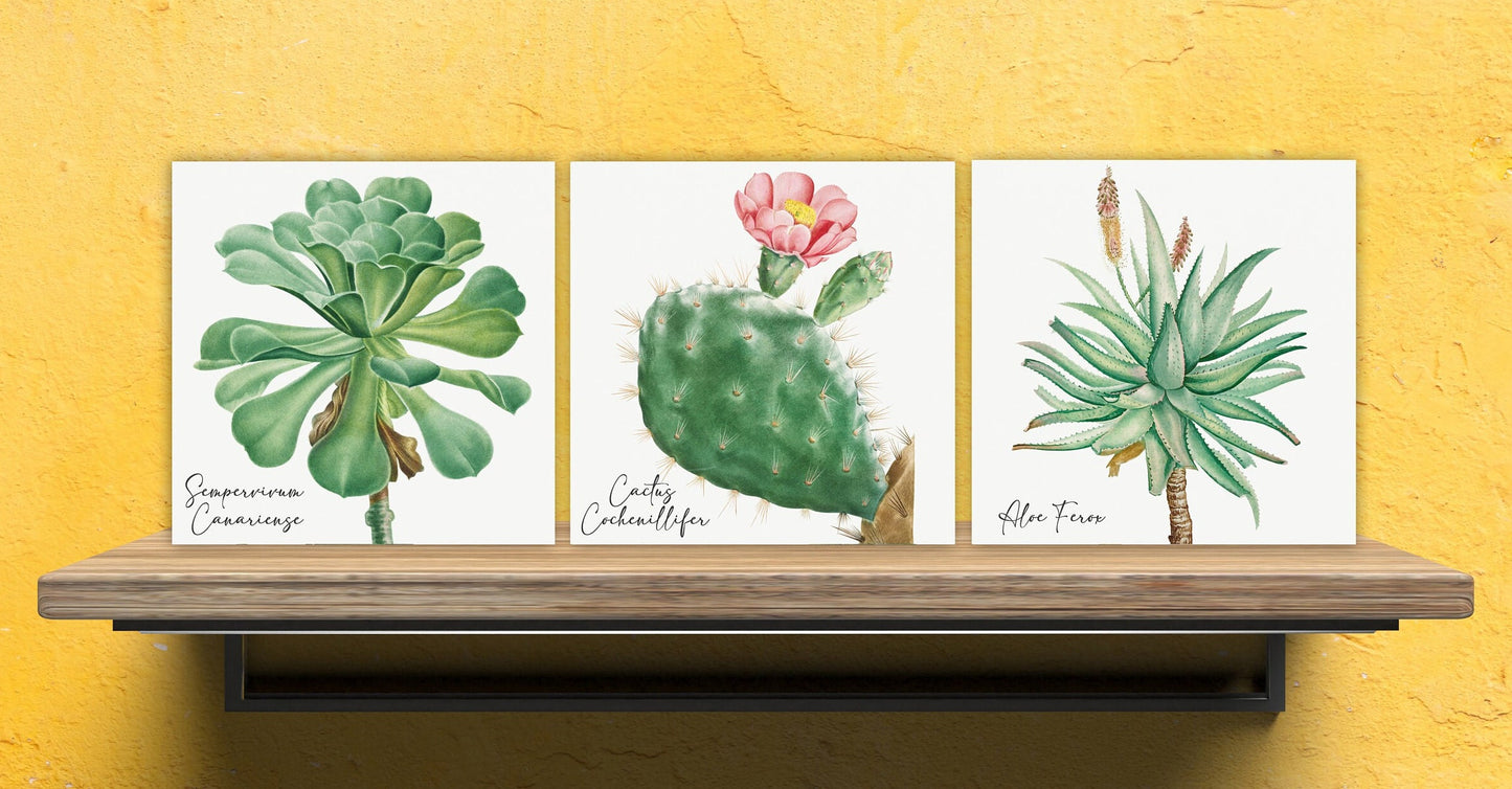Vintage Botanical Print Ceramic Tiles - Set of 3 Ceramic Decor Tiles - Kitchen Backsplash Tiles, Bathroom Tiles, Botanical wall art