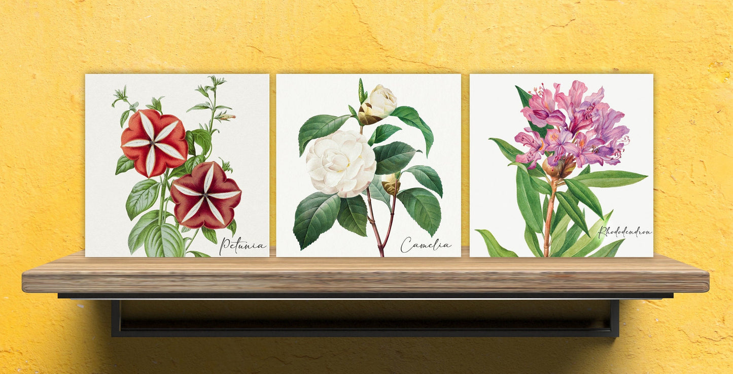 Vintage Botanical Print Ceramic Tiles - Set of 3 Ceramic Decor Tiles - Kitchen Backsplash Tiles, Bathroom Tiles, Botanical wall art