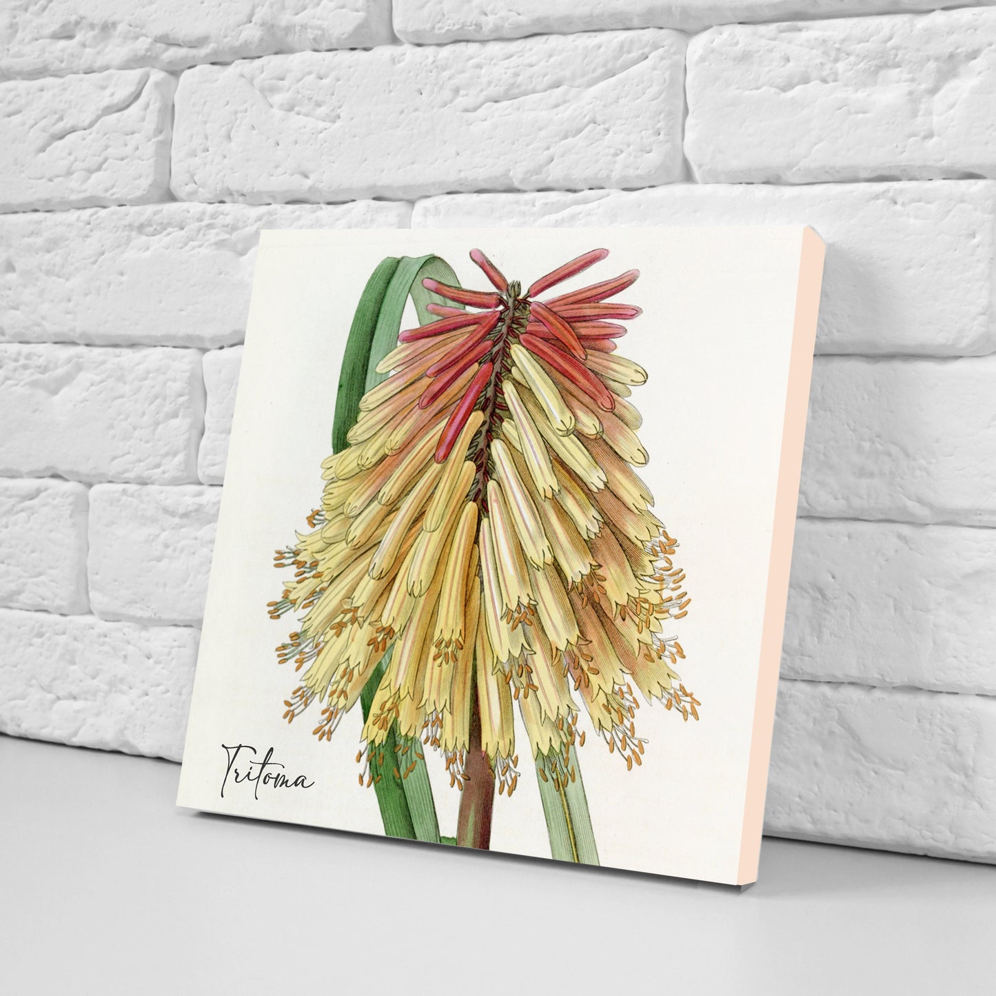Vintage Botanical Print Ceramic Tiles - Set of 3 Ceramic Decor Tiles - Kitchen Backsplash Tiles, Bathroom Tiles, Botanical wall art
