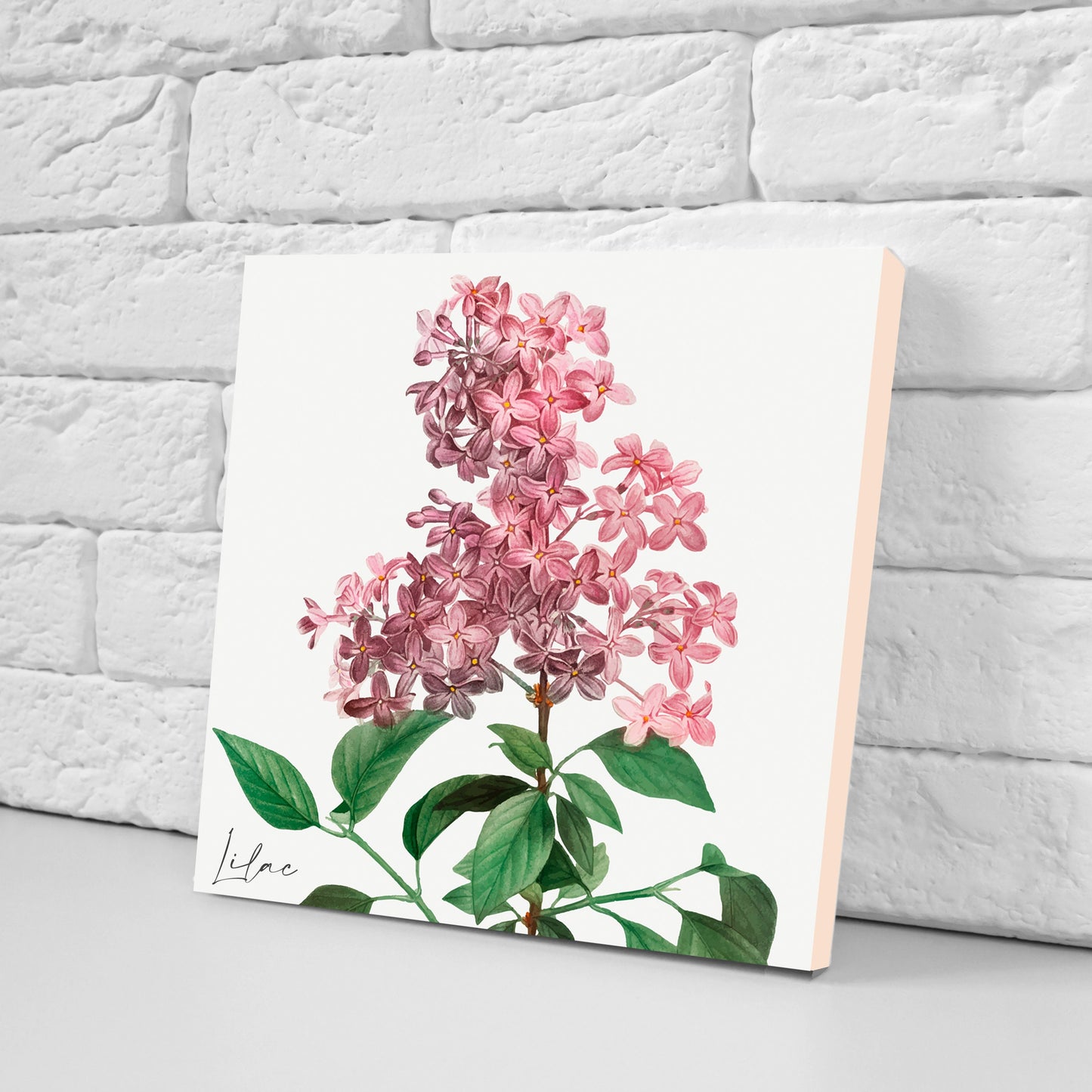 Vintage Botanical Print Ceramic Tiles - Set of 3 Ceramic Decor Tiles - Kitchen Backsplash Tiles, Bathroom Tiles, Botanical wall art