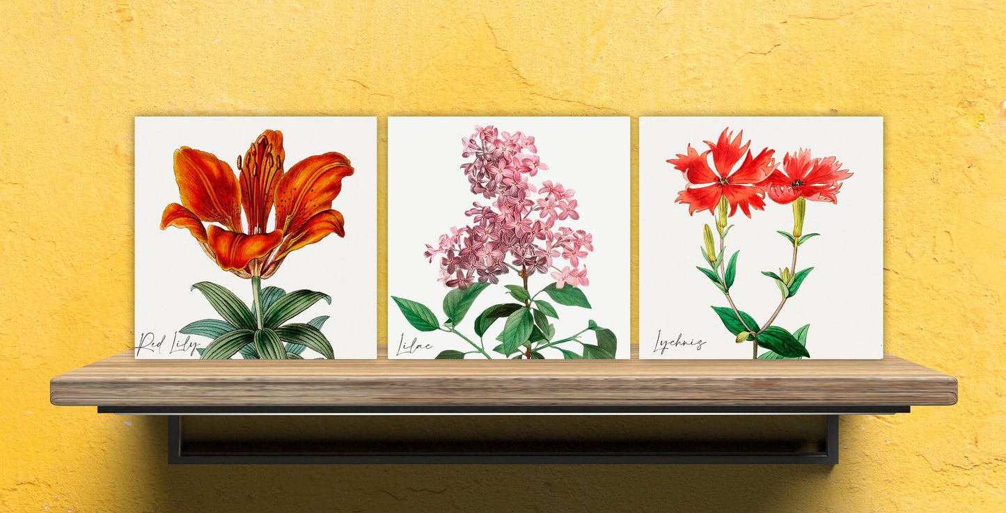 Vintage Botanical Print Ceramic Tiles - Set of 3 Ceramic Decor Tiles - Kitchen Backsplash Tiles, Bathroom Tiles, Botanical wall art