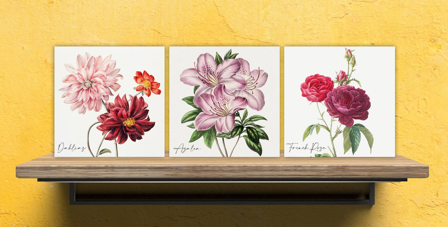 Vintage Botanical Print Ceramic Tiles - Set of 3 Ceramic Decor Tiles - Kitchen Backsplash Tiles, Bathroom Tiles, Botanical wall art