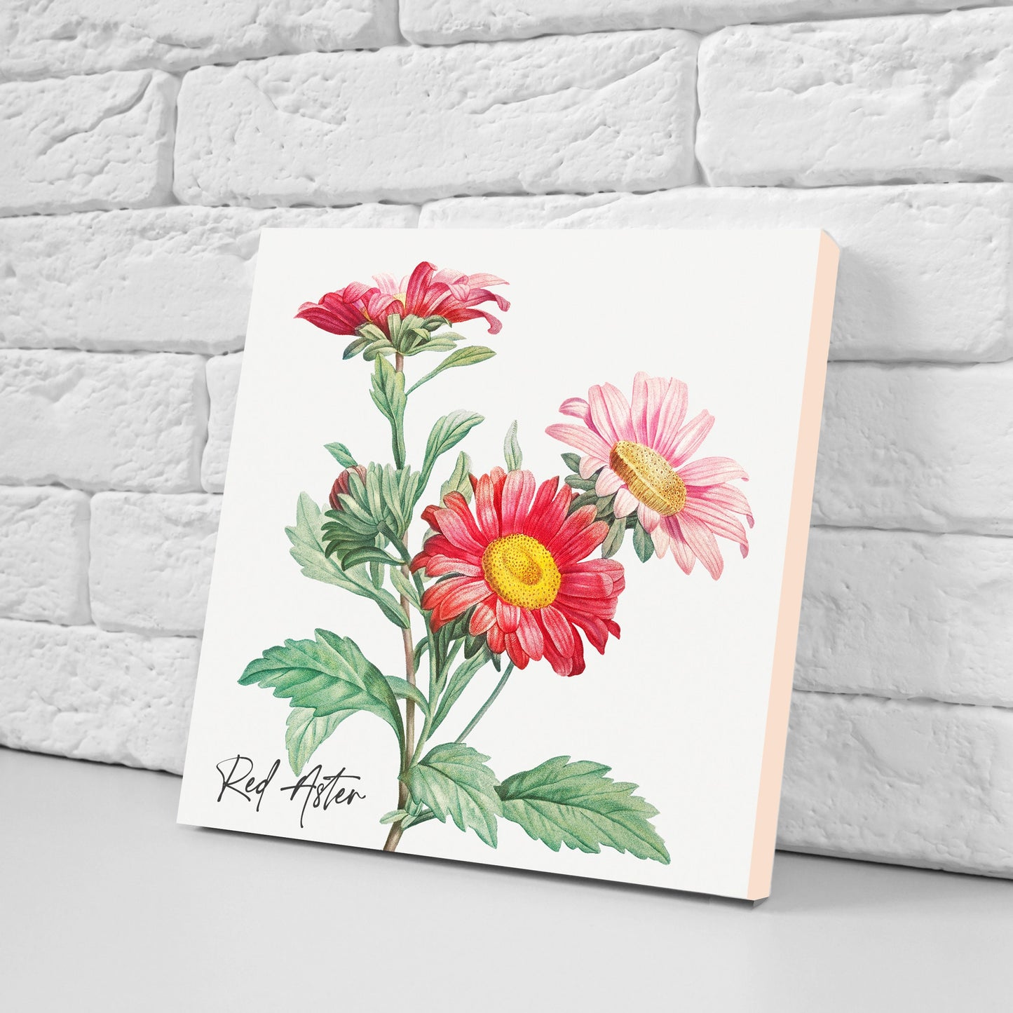 Vintage Botanical Print Ceramic Tiles - Set of 3 Ceramic Decor Tiles - Kitchen Backsplash Tiles, Bathroom Tiles, Botanical wall art