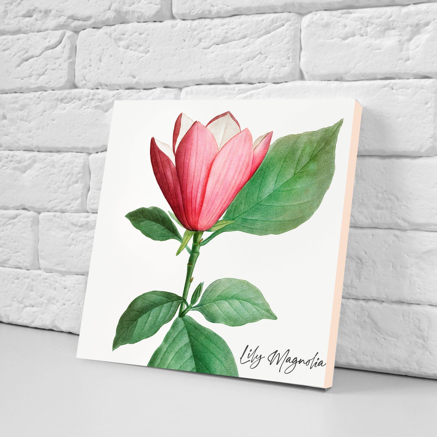 Vintage Botanical Print Ceramic Tiles - Set of 3 Ceramic Decor Tiles - Kitchen Backsplash Tiles, Bathroom Tiles, Botanical wall art