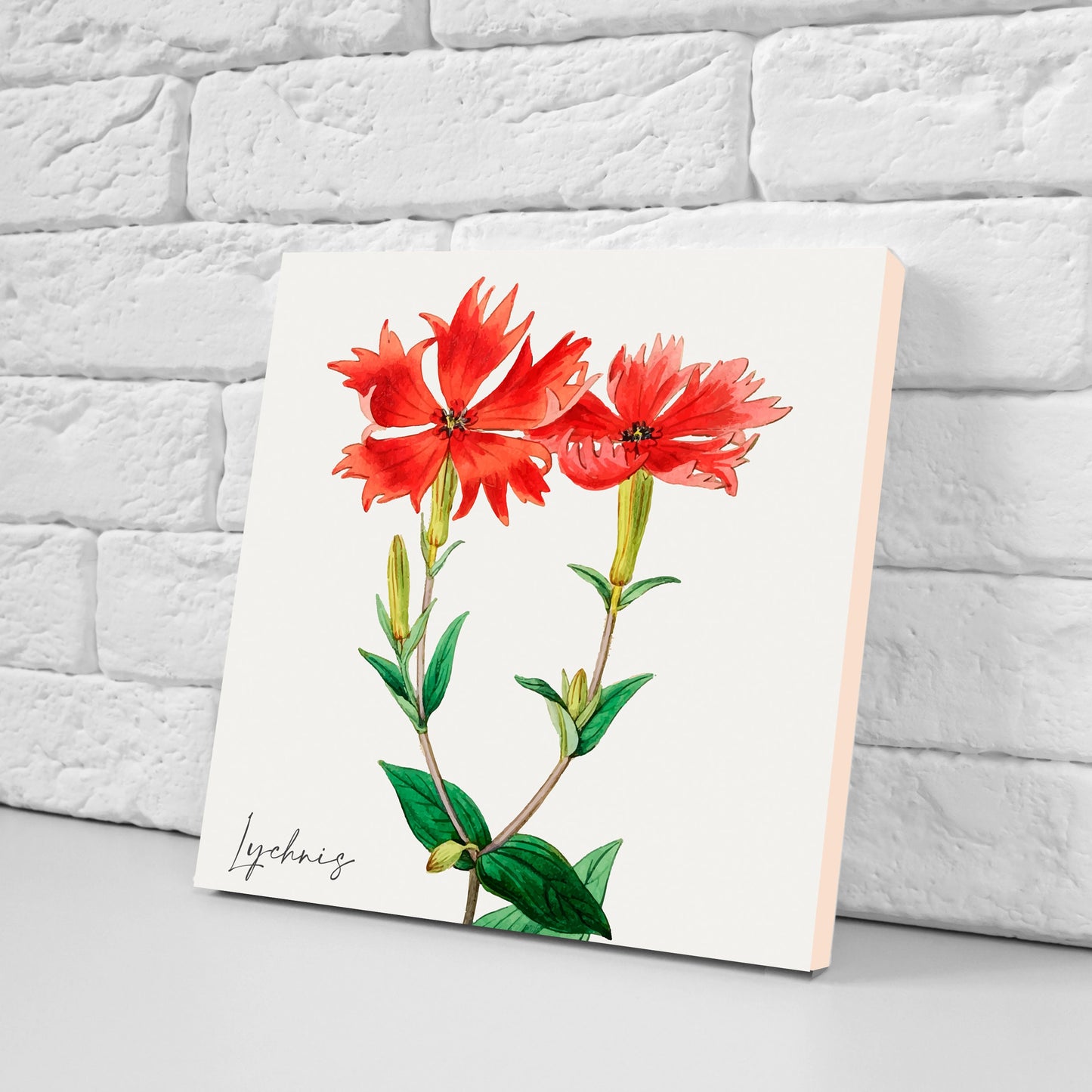 Vintage Botanical Print Ceramic Tiles - Set of 3 Ceramic Decor Tiles - Kitchen Backsplash Tiles, Bathroom Tiles, Botanical wall art