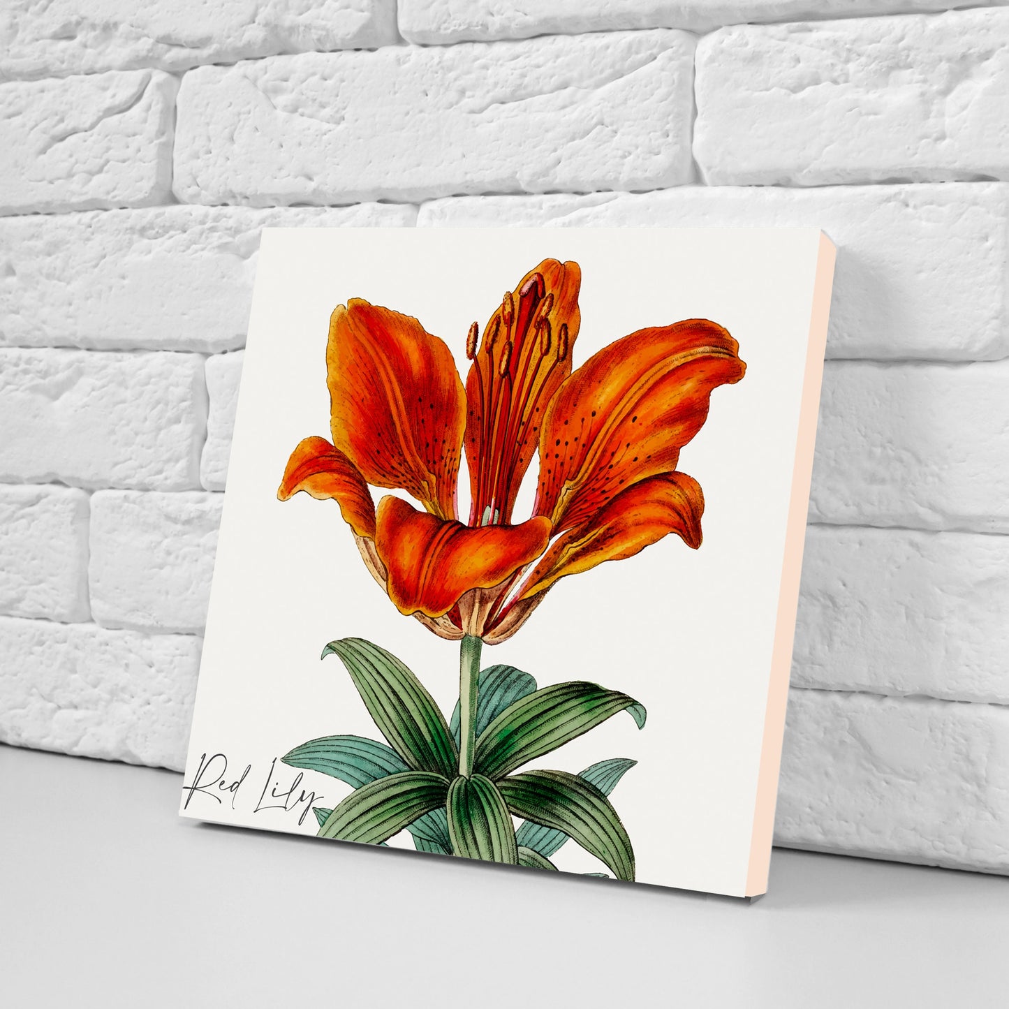 Vintage Botanical Print Ceramic Tiles - Set of 3 Ceramic Decor Tiles - Kitchen Backsplash Tiles, Bathroom Tiles, Botanical wall art