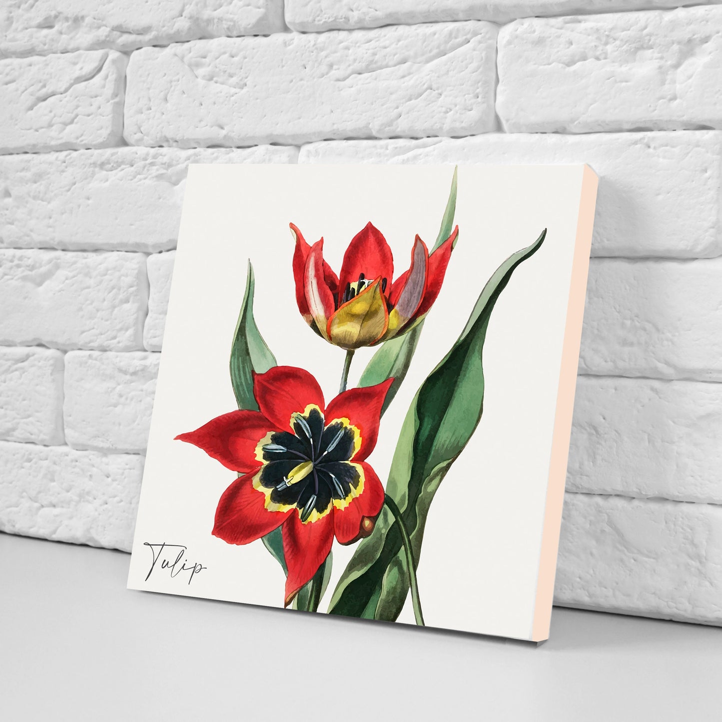 Vintage Botanical Print Ceramic Tiles - Set of 3 Ceramic Decor Tiles - Kitchen Backsplash Tiles, Bathroom Tiles, Botanical wall art