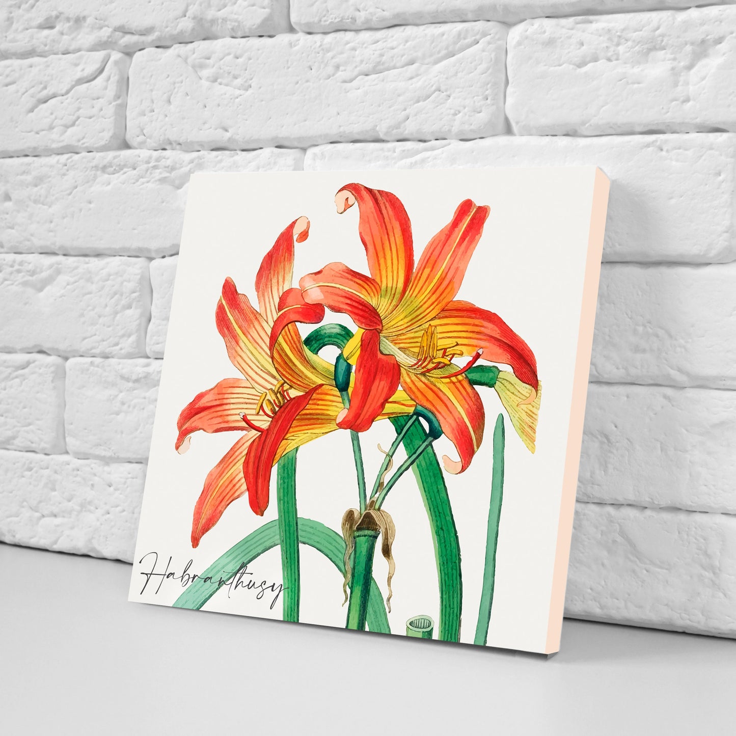 Vintage Botanical Print Ceramic Tiles - Set of 3 Ceramic Decor Tiles - Kitchen Backsplash Tiles, Bathroom Tiles, Botanical wall art