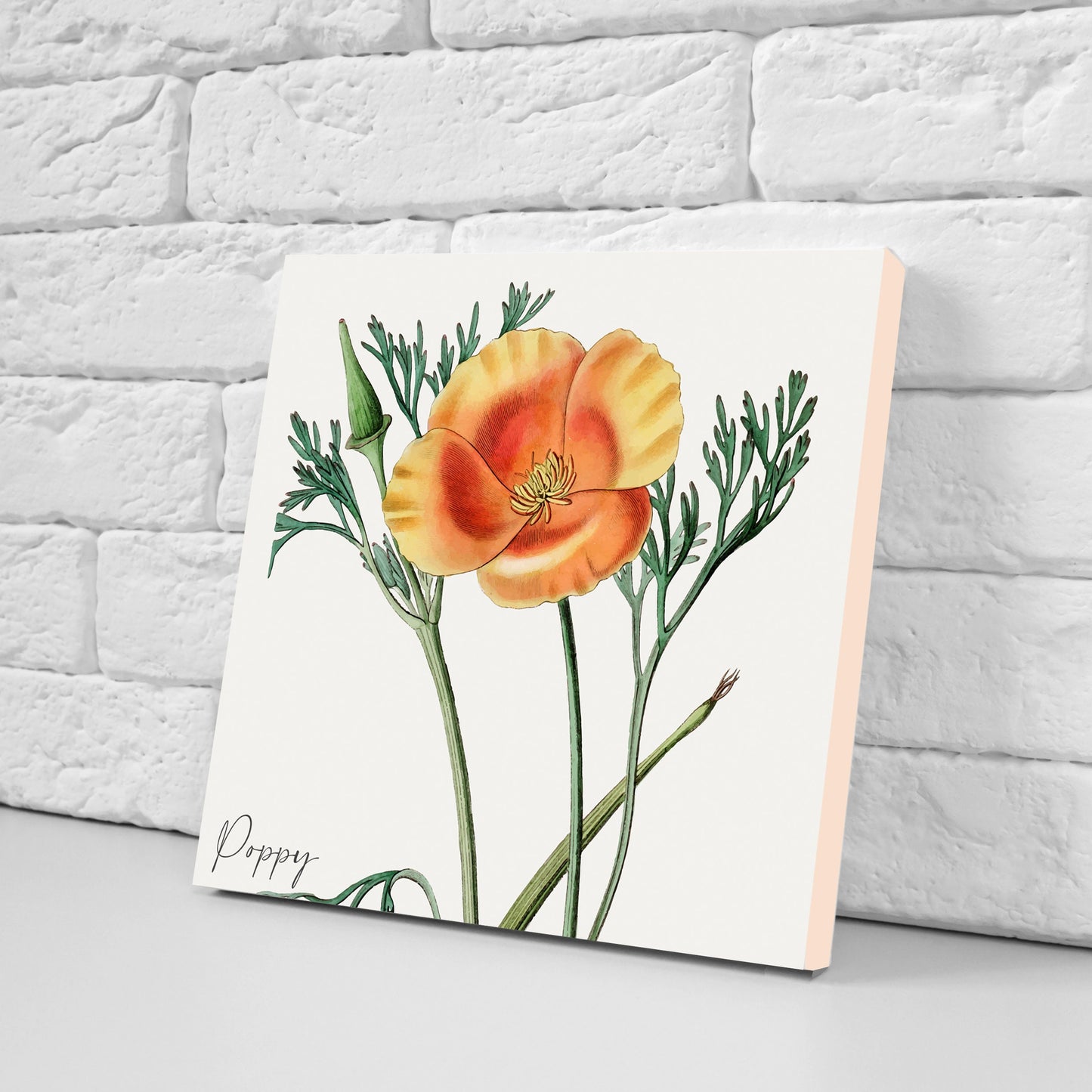 Vintage Botanical Print Ceramic Tiles - Set of 3 Ceramic Decor Tiles - Kitchen Backsplash Tiles, Bathroom Tiles, Botanical wall art