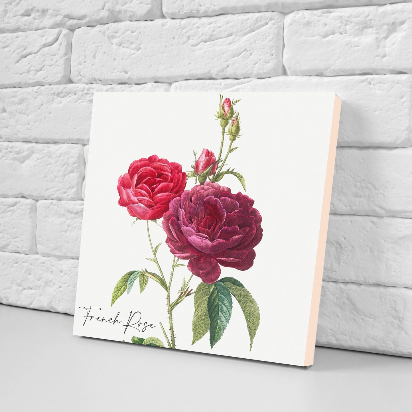 Vintage Botanical Print Ceramic Tiles - Set of 3 Ceramic Decor Tiles - Kitchen Backsplash Tiles, Bathroom Tiles, Botanical wall art