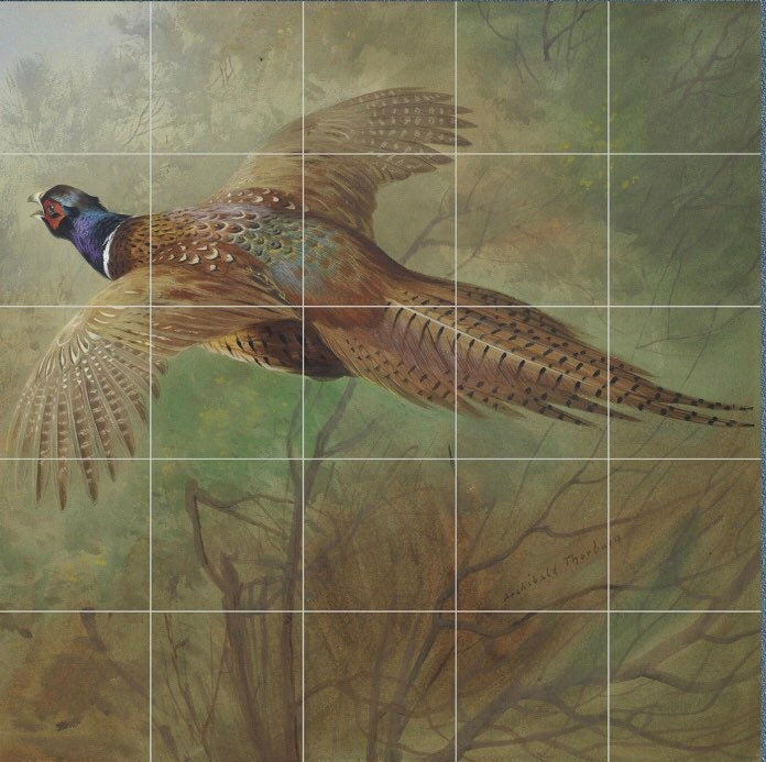 Tile Mural/Mosaic Ceramic Panel of a Pheasant in Flight - Archibald Thorburn - Birds Mural - Bird Mosaic - Gloss Tiles - Pheasant Mosaic Art